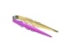 Embery ����٥꡼����쥪�� Midium-ENVY-Tongs-Chameleon20cm
