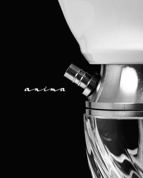 Anima TULIP BLOOM���˥ޡ����塼��åץ֥롼��55cm