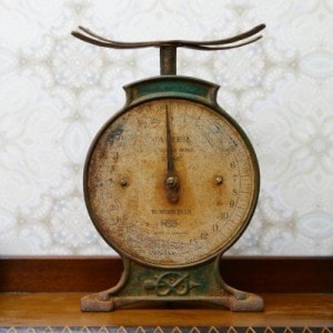 �Ϥ��� (Salter Scale)