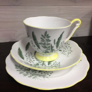 �ƥ������å� Queen Anne ��PAMPAS��