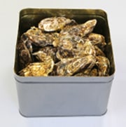 浦島太郎牡蠣：殻付き5kg（40～55個） | 牡蠣 | 浦島太郎牡蠣
