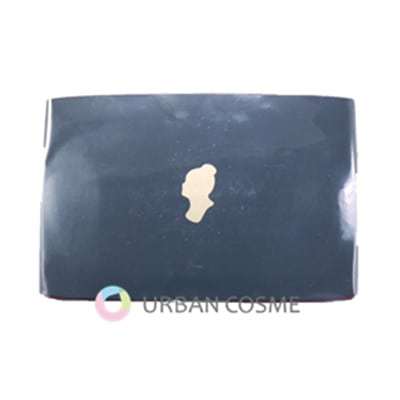 ハリウッド エクセレント ファンデーションケース(BR)