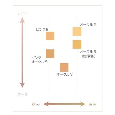 シャンソン ドナチェーレ スムースフィットファンデーション 10g（全2