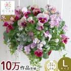 �ѥ󥸡����ӥ���Υϥ󥮥󥰥Х����å� �󤻿��� [�������ץ�ߥ���] L������