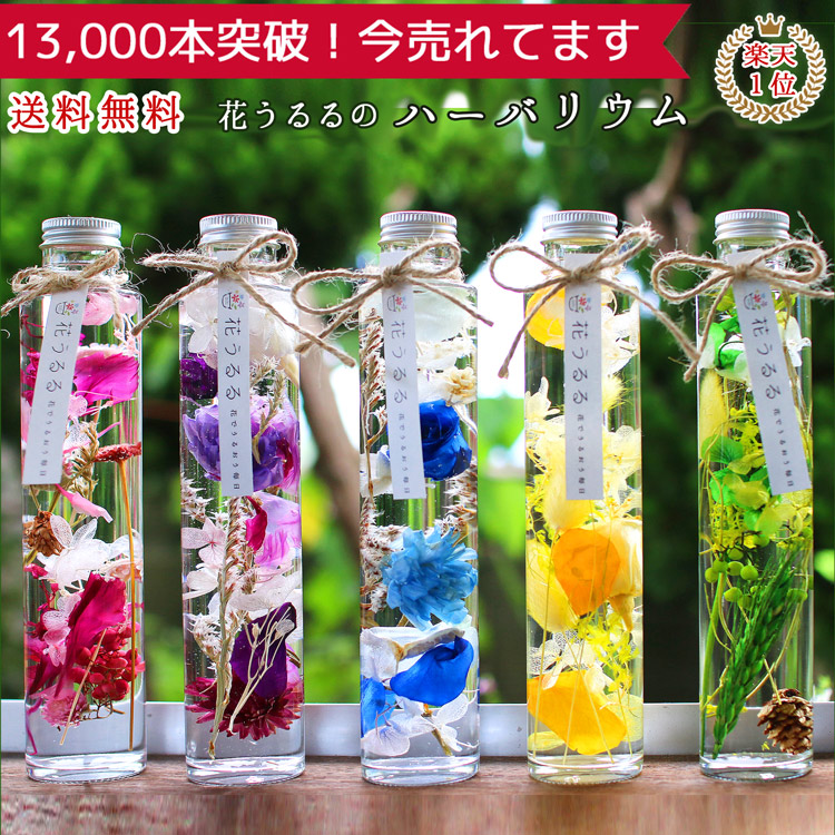 即日発送OK／プレゼント[ 花うるる ハーバリウム ] 選べる5色 | 46