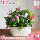 ڥ֥ꥭ ץ󥿡 󤻿۲֤ ޤ[Ĺ] 