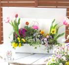 �ڢ��ե졼�ࡦ�ܡ�������������ؤ����Ѥδ󤻿��� [�֤Ϥʥե졼��600���ѡ���Ȥ����δ󤻿���]�֤���뤪�ޤ��������