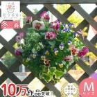 �ѥ󥸡����ӥ���Υϥ󥮥󥰥Х����å� �֤���� �󤻿��� [�������ԡ���] M������ ����ץ�|������ �ե����ե� ������ �ץ쥼��� ���� �� ������� ȭ���� ȭ�� �����ǥ˥� �ե� ���� ���ե� ���� ���å� �� ���ˤ� ���ꥹ�ޥ� ���� ����