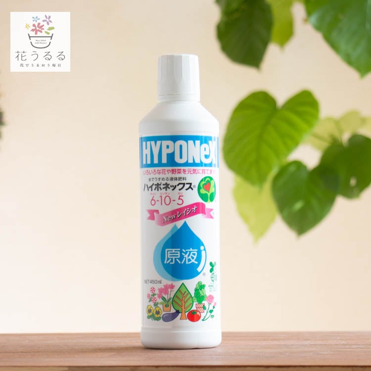 ミネラル原液100ml 3本 天然ミネラル液「島西神水」300ml : tuchinokoe - 通販 - Yahoo