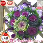  եܥΥϥ󥮥󥰥Хåȴ󤻿[ܤ]Mղð ӥ          ϥܥ  ֥󥸥 ꡼  ȭ  Хå  եե ѥ󥸡 