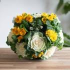  եܥΥϥ󥮥󥰥Хåȴ󤻿[] Mղð ӥ          ϥܥ  ֥󥸥 ꡼  ȭ  Хå  եե ѥ󥸡 