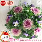  եܥΥϥ󥮥󥰥Хåȴ󤻿[(] Mղð ӥ          ϥܥ  ֥󥸥 ꡼  ȭ  Хå  եե ѥ󥸡 