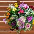  եܥΥϥ󥮥󥰥Хåȴ󤻿[(椭Ϥ]Mղð ӥ          ϥܥ  ֥󥸥 ꡼  ȭ  Хå  եե ѥ󥸡 