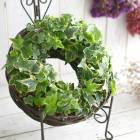 �֥��󥰥����ӡ��Υʥ����� ��󥰡�ľ��30cm������