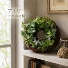 ��1ǯ��ڤ���롿�������Ƥ� �����ӡ��Υ꡼���󤻿����ʥ饿��꡼���ˡ�