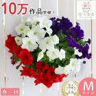 �ڥ���˥��Υϥ󥮥� �󤻿��� [�ե��� (����ץ�)]  �դ����ս��˳���