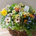 �ڥ���������ǽ������̵���۲֤���륢��󥸡֤��������㥶��󥰴󤻿���(�̥�������