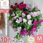 ӥΥϥ󥮥󥰥Хå ֤ 󤻿 [С] M ץ