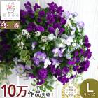 �ӥ���Υϥ󥮥󥰥Х����å� �֤���� �󤻿��� [�������ץ�ߥ���] L������ | ������ �ե����ե� ������ �ץ쥼��� ���� �� �� ������� ȭ���� ȭ�� �����ǥ˥� �ե� ���� ���ե� ���� ȭ £��ʪ ���å� �� ���ˤ� ���ꥹ�ޥ� ���� ����