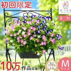 ��� �ϥ󥮥󥰥Х����å� �󤻿��� [�ȥ�˥���] M������ 