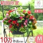 ��� �ϥ󥮥󥰥Х����å� �󤻿��� [�٥��˥���] M������