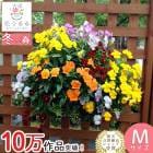 �ӥ���Υϥ󥮥󥰥Х����å� �֤���� �󤻿��� [�ɥ��å�MIX] M������ ����ץ� 