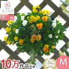 �ӥ���Υϥ󥮥󥰥Х����å� �֤���� �󤻿��� [���ˡ�] M������ ����ץ�