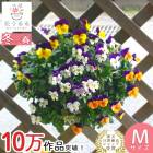 �ӥ���Υϥ󥮥󥰥Х����å� �֤���� �󤻿��� [JP-mix] M������ ����ץ�