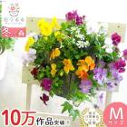 �ӥ���Υϥ󥮥󥰥Х����å� �֤���� �󤻿��� [�쥤��ɥ��å�] M������ ����ץ�