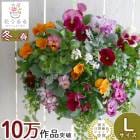 �ѥ󥸡����ӥ���Υϥ󥮥󥰥Х����å� �֤���� �󤻿��� [�������ץ�ߥ���] L������| ������ �ե����ե� ������ �ץ쥼��� ���� �� �� ������� ȭ���� ȭ�� �����ǥ˥� �ե� ���� ���ե� ���� ȭ £��ʪ ���å� �� ���ˤ� ���ꥹ�ޥ� ���� ����
