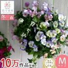 ӥΥϥ󥮥󥰥Хå ֤ 󤻿 [ѥƥС] M ץ