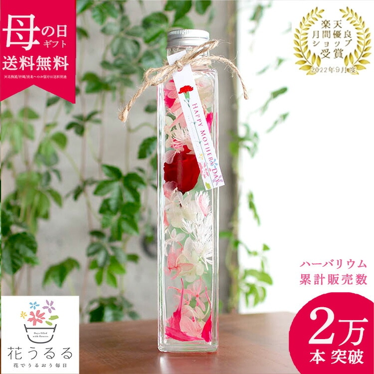即日発送OK／プレゼント 花うるる ハーバリウム (カーネーション入