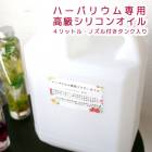 ̵ڹۥϡХꥦ  (åȥ Υդ )