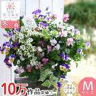 �ӥ���Υϥ󥮥󥰥Х����å� �֤���� �󤻿��� [�֥롼�쥤��] M������ ����ץ� | ������ �ե����ե� ������ �ץ쥼��� ���� �� ������� ȭ���� ȭ�� �����ǥ˥� �ե� �Х����å� ���� ���ե� ���� ���å� �� ���ˤ� ���ꥹ�ޥ� ���� ����