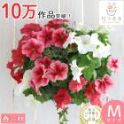 �ڥ���˥��Υϥ󥮥� �󤻿��� [�������ԥ�(����ץ�)] �դ����ս��˳���