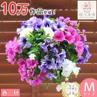 �ڥ���˥��Υϥ󥮥� �󤻿���  [�ѥ��ƥ� (����ץ�)]�դ����ս��˳���