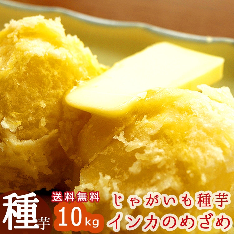 じゃがいも 種芋 種イモ 送料無料 インカのめざめ 種芋10kg 北海道産