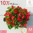 �٥��˥��Υϥ󥮥� �󤻿��� [��å�(����ץ�] �դ����ս��˳���