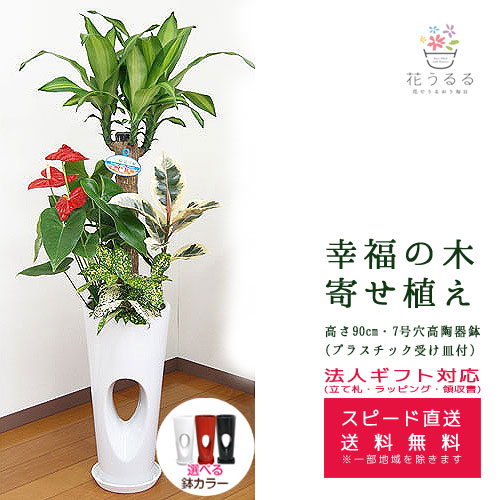 セラルンガ　赤　鉢　インテリア　観葉植物 楽天市場】イタリア製プランター ボルダート レッド 直径13cm 高さ12cm