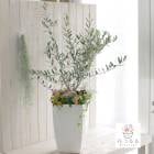 ̵֥ۡ꡼֤ β֤󤻿(⤵100cm130cm塦κ)