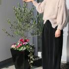 SALE������̵���֥ۡ��꡼�� �� ����β� �󤻿��� ���٤�ƫ��ȭ �� (�⤵130cm����)��
