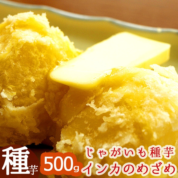 マツコの知らない世界で特集／【じゃがいも 種芋 種イモ】インカの
