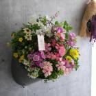 �դδ󤻿��� �֤���륢��󥸡إ᥿��ݥå� �󤻿��� M��������