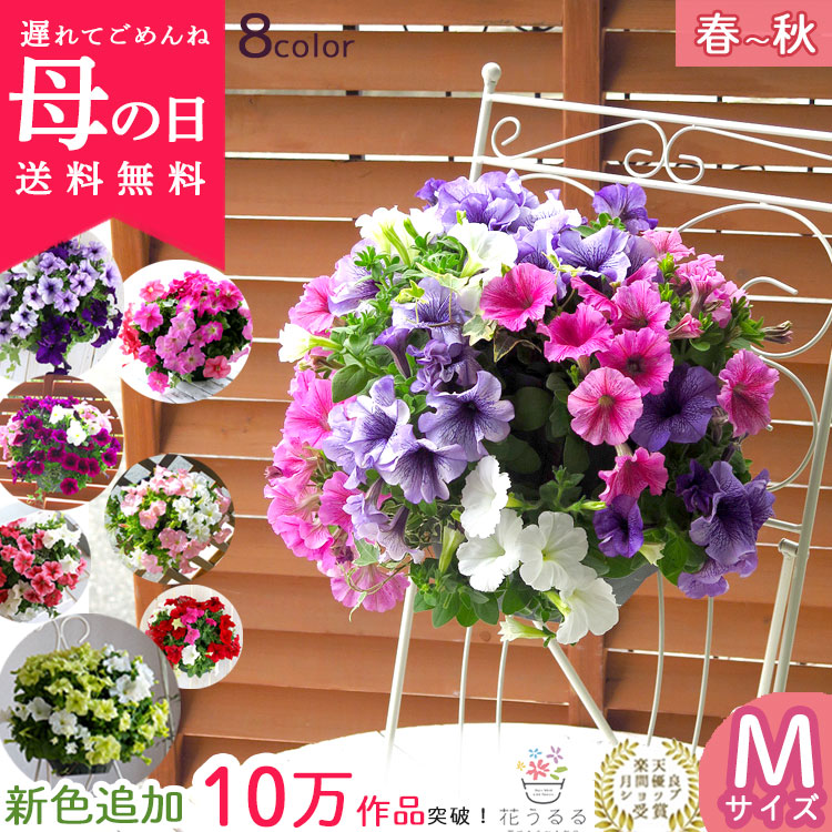 ��5/11��22ȯ������Ź�͵�No.1������� �٤�Ƥ����͡��֤���� �ڥ���˥��Υϥ󥮥󥰥Х����å� �󤻿��� [�쥮��顼������] 