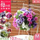 ��5/11��22ȯ������Ź�͵�No.1������� �٤�Ƥ����͡��֤���� �ڥ���˥��Υϥ󥮥󥰥Х����å� �󤻿��� [�쥮��顼������] 