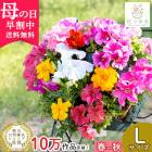 ������� �֤���롿������ [�̥�����] �ڥ���˥��Υϥ󥮥󥰥Х����å� �󤻿���[�ץ�ߥ���]