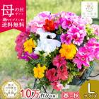 ��5/13��20ȯ��ʬ�ۡ������ �٤�Ƥ����͡��֤���� [�̥�����] �ڥ���˥��Υϥ󥮥󥰥Х����å� �󤻿���[�ץ�ߥ���] 