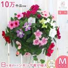 սޤǳ֤֡ ϥ󥮥 󤻿 ˥˥ [եMIX](ץ10) 