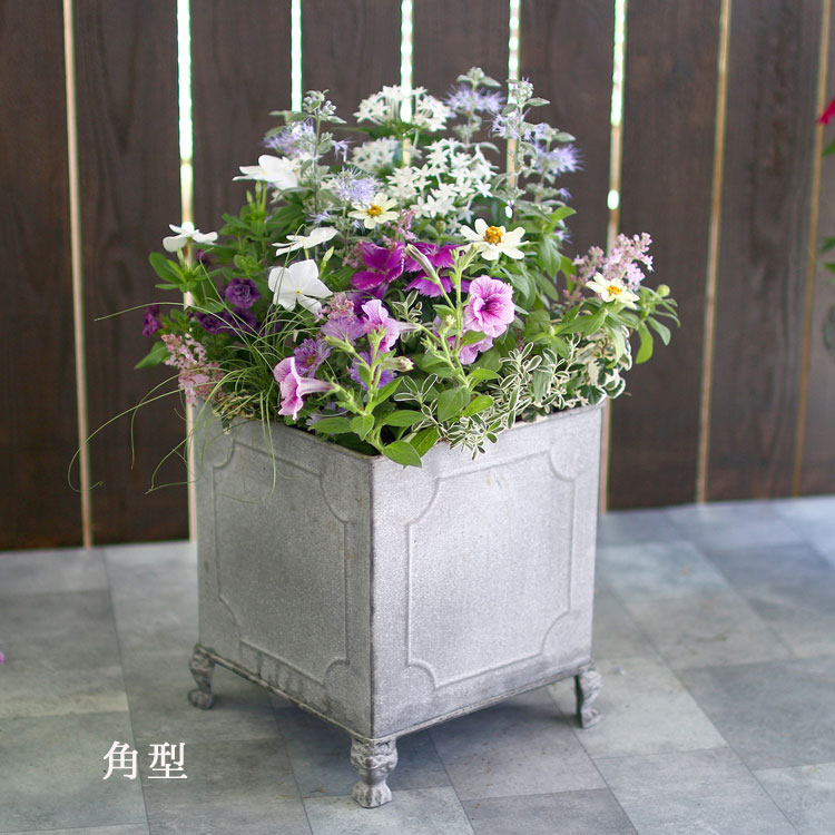 ������̵���ۤ��ޤ��� �֥ꥭ�ץ�󥿡� �󤻿��� �ѷ�