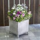 ̵ۤޤ ֥ꥭץ󥿡 󤻿 ѷ